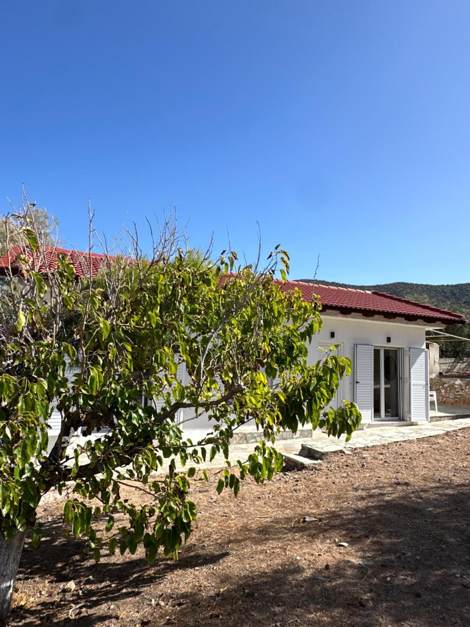 Coast Cottage Porto Rafti-Avlaki 외부 사진